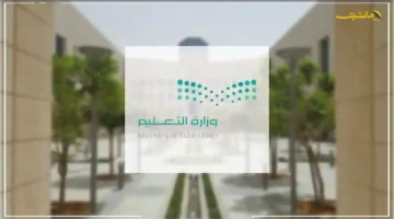 بوابة جديدة لخريجي الثانوية.. تنظيم غير مسبوق لإعادة بناء المسار الأكاديمي. 1